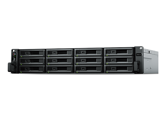 RS3621xs+